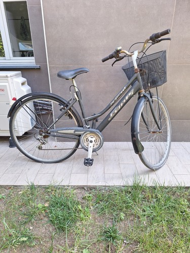 Bicicletta da - (city, bike)