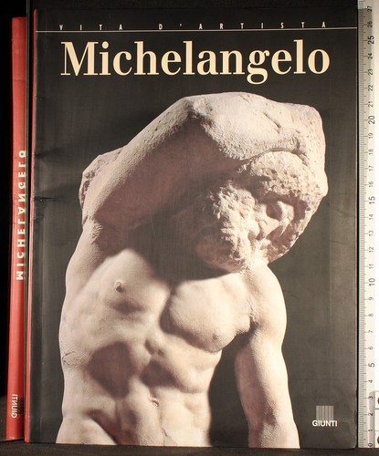 Vita artista michelangelo - vita, d'artista.