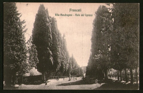 Frascati villa mondragone - frascati,