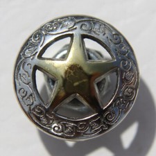 Biker Western Texas Star