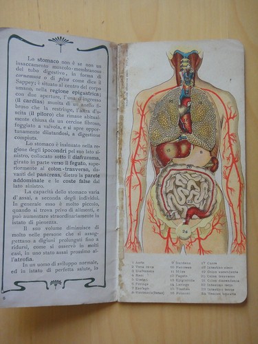 1905 circa disturbi - circa-disturbi, dello