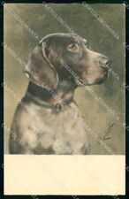 Bastone puntatore caccia cane da caccia firmato artista C. Reicht TSN 269-4 cp KF6941