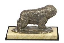 Razza Di Cani Polacca - Figura