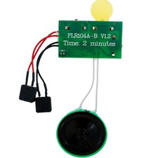 Modulo di Registrazione Vocale