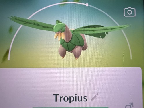 Pokemon tropius 0357 - 👻pokemon,