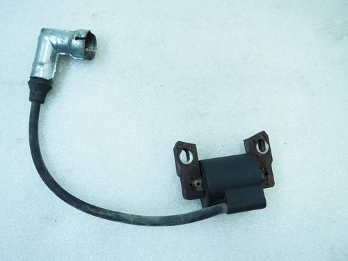 Bobina accensione briggs - accensione,