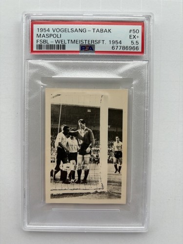1954 maspoli vogelsang tabacco - 1954,