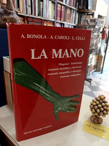 Mano filogenesi - la,