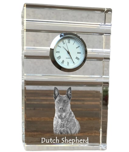 Cane pastore olandese orologio - olandese,