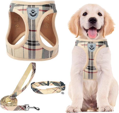 Imbracatura per cani - imbracatura,