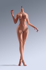 STOCK 1/6 pelle abbronzante