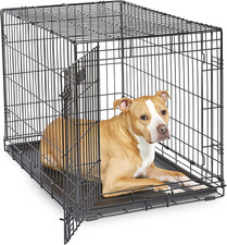Gabbia per Cani Icrate a Porta