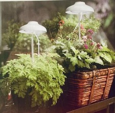 n.2 LAMPADA LED ESTENSIBILE COLTIVAZIONE INTERNO FIORI PIANTE ON OFF AUTOMATICO