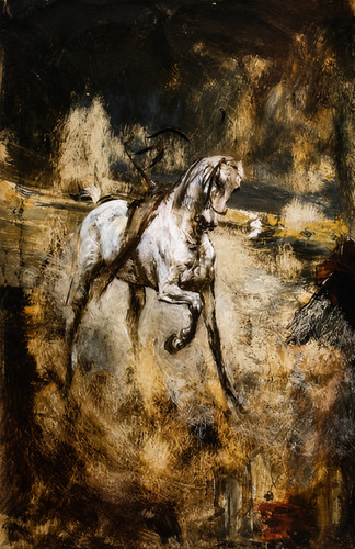 Giovanni boldini cavallo - giovanni,