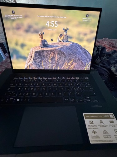 Asus zenbook oled - asus, 14