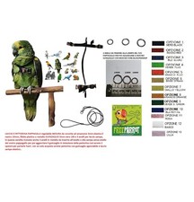 LACCIO e PETTORINA PAPPAGALLI