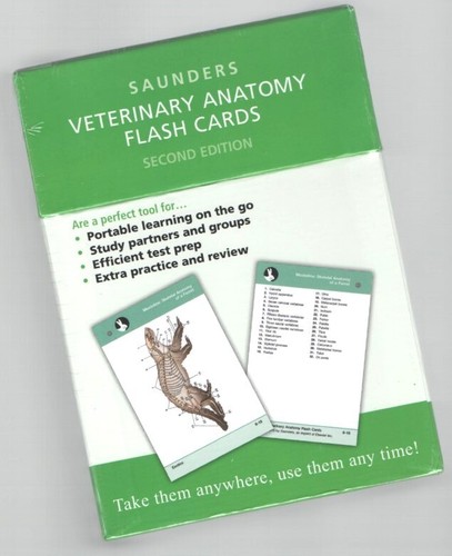 Flashcard anatomia