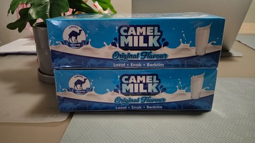Latte cammello in - di,