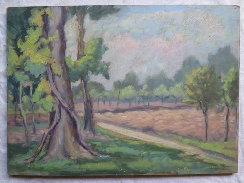 Quadro paesaggio campagna - quadro,