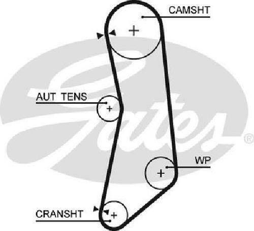 Cinghia distribuzione