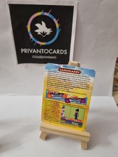 Cartoncino Regolamento