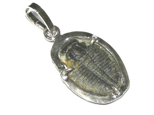 Ciondolo trilobite fossile - ciondolo,