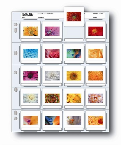File stampa 2x2 20b fogli - stampa,