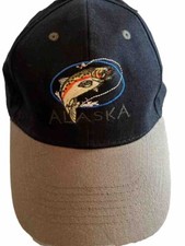 Cappello da baseball Arctic