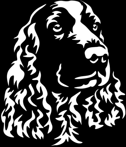 Adesivo springer spaniel - adesivo,