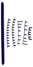 Set strisce paraurti tampone