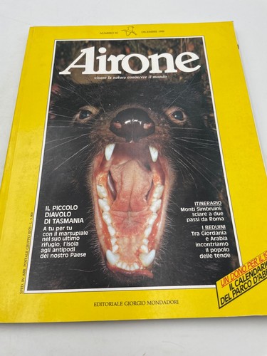 Airone piccolo diavolo - airone,