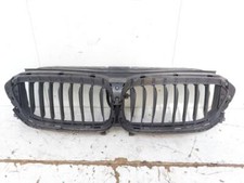 18715610 GRIGLIA PARAURTI ANTERIORE BMW SERIE 5 (G30) 520d Xdrive 2.0 D 16V AUT 
