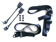 Coppia cinture di sicurezza