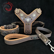 Set imbracatura per cani grandi - imbracatura imbottita Bestie Aztec grigia, collare e guinzaglio, durevole