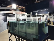 ACQUARIO VASCA IN VETRO 