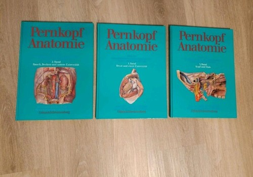 Pernkopf anatomie des menschen - pernkopf,