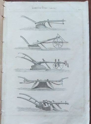 Stampe antiche agricoltura 4 - antiche, (4