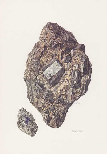 Cordierite dichroit iolite - cordierite,
