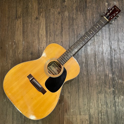 Chitarra acustica suzuki 120 - acustica,