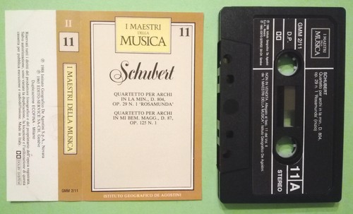 Musicassetta maestri - musicassetta, i