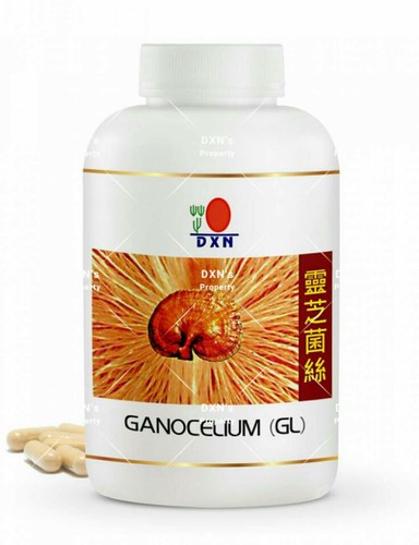 360 compresse dxn fungo - gl,