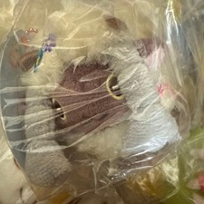 Pokemon Center 2021 Mascotte