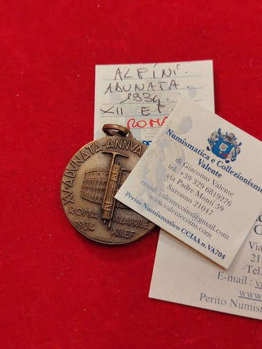 Medaglia nazionale alpini roma - nazionale,
