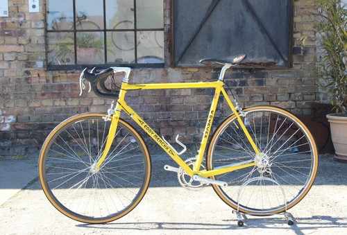 Eddy merckx leader - eddy, rh