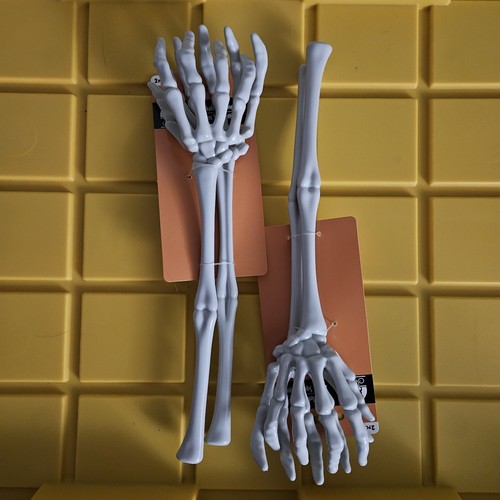 Scheletro mani osso braccia
