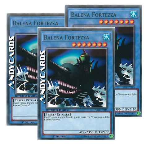 Balena fortezza speed - fortezza, (speed