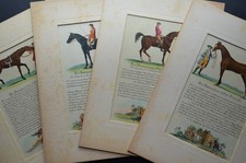 Set stampe equestri inglesi