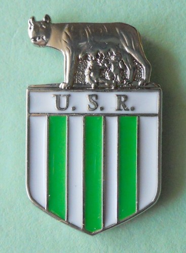 Distintivo spilla pin badge - spilla,