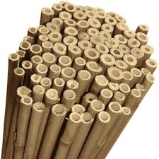 Canne bamboo thai - canne,