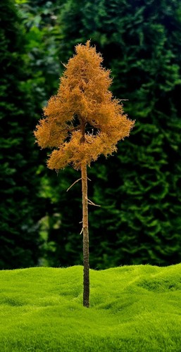 Albero modello h0 - albero,